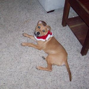 Meet your Posher, Tyler